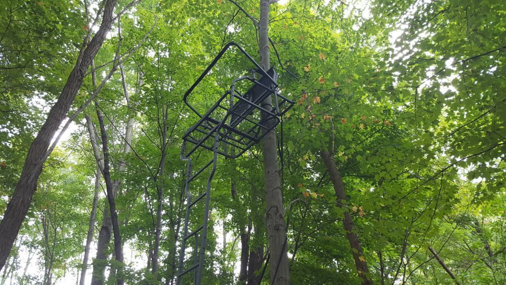 How to Buy a Tree Stand: 10 Best Tree Stands for Hunting