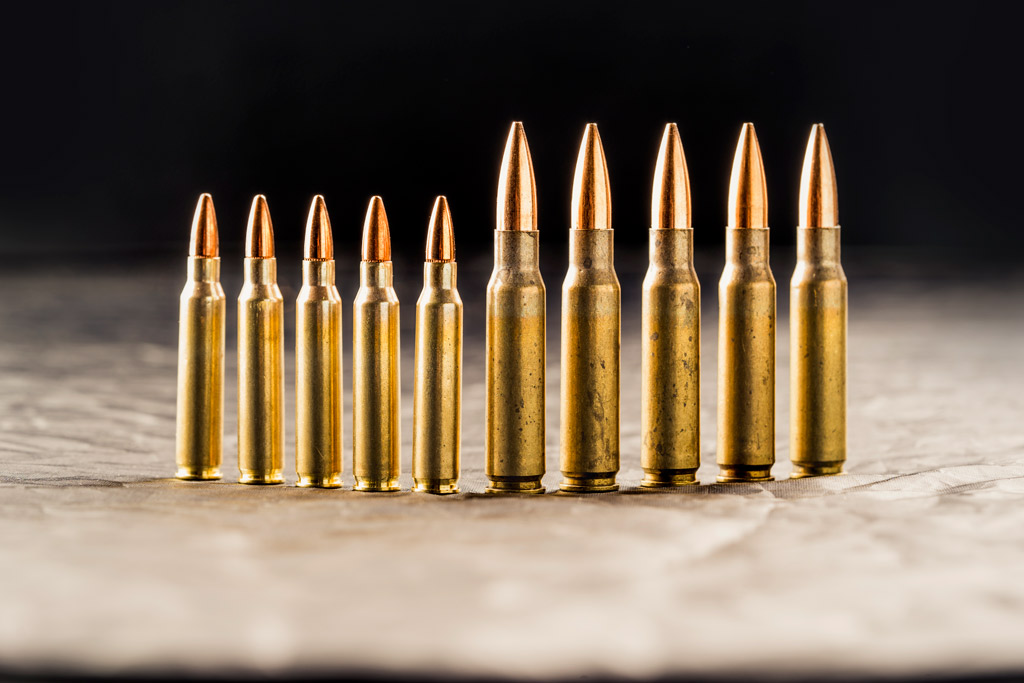 .270 vs .308 Winchesters: Which is More Powerful?