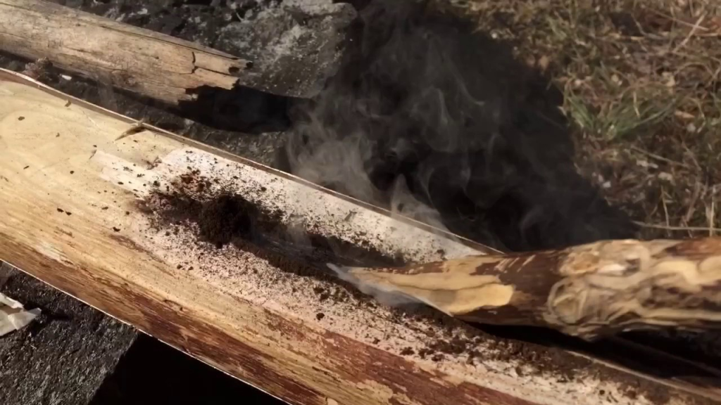 6 Methods to Start a Fire from Scratch