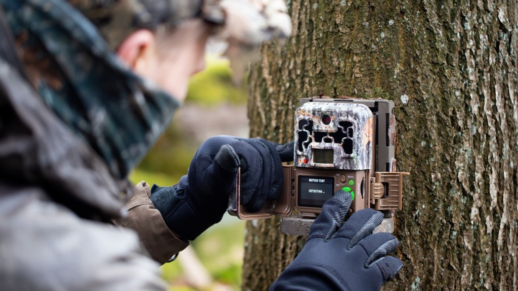 Best Trail Cameras for Hunting 2023: Step-by-Step Guide