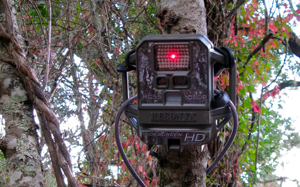 Reconyx Trail Camera
