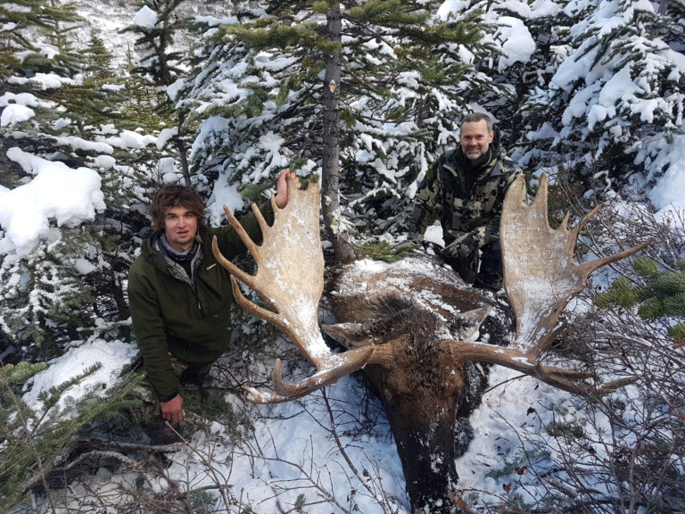 Canada Moose Hunting in Winter